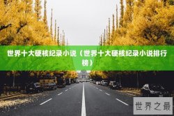 世界十大硬核纪录小说（世界十大硬核纪录小说排行榜）