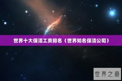 世界十大保洁工资排名（世界知名保洁公司）