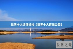 世界十大评估机构（世界十大评估公司）