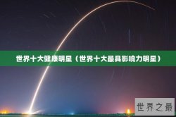 世界十大健康明星（世界十大最具影响力明星）