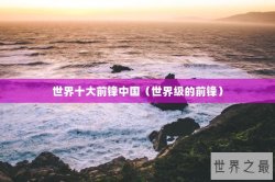 世界十大前锋中国（世界级的前锋）