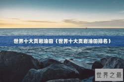 世界十大页岩油田（世界十大页岩油田排名）