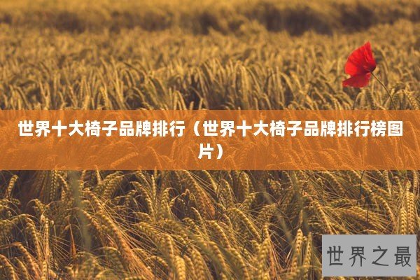 世界十大椅子品牌排行（世界十大椅子品牌排行榜图片）