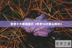 世界十大恶搞图片（世界10大恶心照片）
