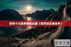 世界十大高手拳击比赛（世界顶尖拳击手）