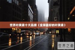 世界叶黄素十大品牌（全球最好的叶黄素）