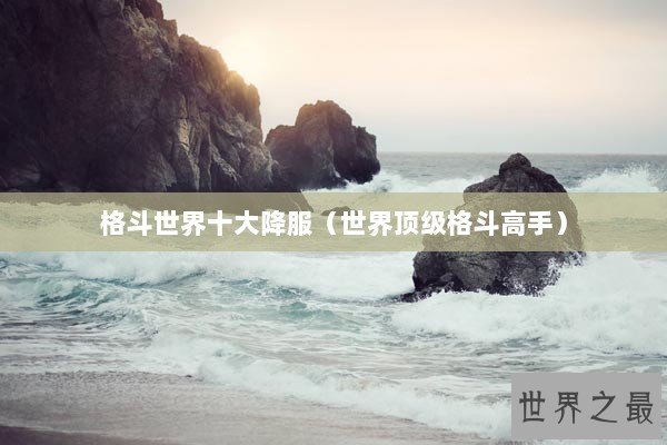 格斗世界十大降服（世界顶级格斗高手）