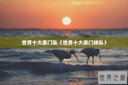 世界十大豪门队（世界十大豪门球队）