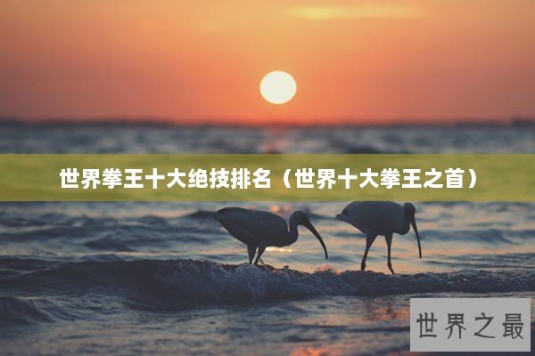世界拳王十大绝技排名(世界十大拳王之首) 世界拳王十大绝技排名(世界十大拳王之首)