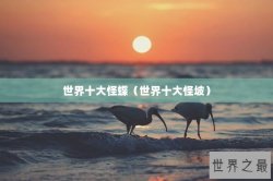 世界十大怪蝶（世界十大怪坡）