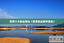 世界十大职业拳坛（世界职业拳手排名）