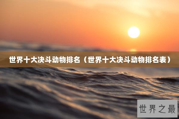 世界十大决斗动物排名（世界十大决斗动物排名表）