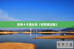 世界十大黑白灰（世界黑白图）