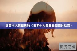 世界十大禁猫黑豹（世界十大禁养名猫图片欣赏）