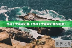 世界十大奇观石林（世界十大奇观石林在哪里）