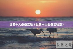 世界十大必备实验（世界十大必备实验室）