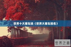 世界十大客车场（世界大客车排名）