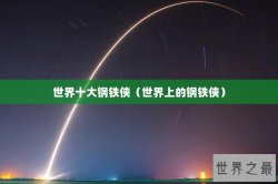 世界十大钢铁侠（世界上的钢铁侠）