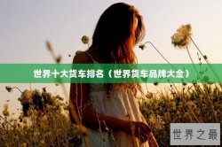世界十大货车排名（世界货车品牌大全）