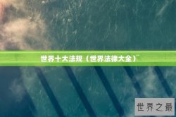 世界十大法规（世界法律大全）
