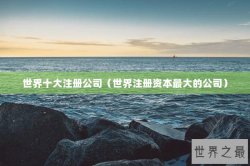 世界十大注册公司（世界注册资本最大的公司）