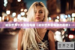 迷你世界十大高档电梯（迷你世界带电梯的别墅）