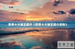 世界十大球王简介（世界十大球王简介资料）