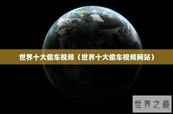世界十大偷车视频（世界十大偷车视频网站）