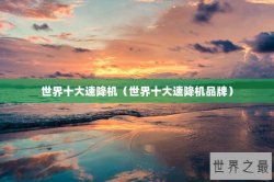 世界十大速降机（世界十大速降机品牌）