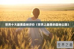 世界十大最美森林评价（世界上最美的森林公路）