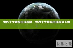 世界十大精准击球视频（世界十大精准击球视频下载）