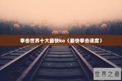 拳击世界十大最快ko（最快拳击速度）