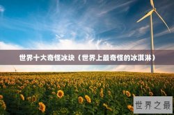 世界十大奇怪冰块（世界上最奇怪的冰淇淋）