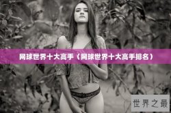 网球世界十大高手（网球世界十大高手排名）