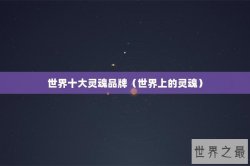 世界十大灵魂品牌（世界上的灵魂）