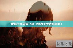 世界十大农用飞机（世界十大农机排名）