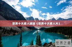 世界十大感人球场（世界十大感人片）