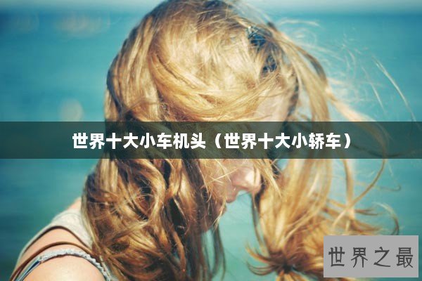 世界十大小车机头（世界十大小轿车）