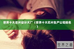 世界十大芯片设计大厂（世界十大芯片生产公司排名）