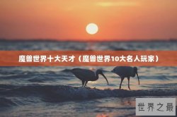 魔兽世界十大天才（魔兽世界10大名人玩家）