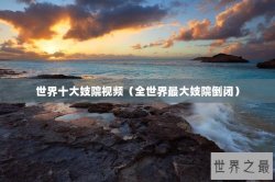 世界十大妓院视频（全世界最大妓院倒闭）