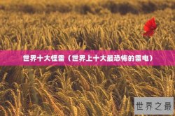 世界十大怪雷（世界上十大最恐怖的雷电）