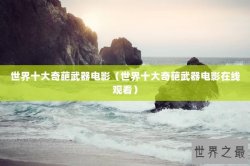 世界十大奇葩武器电影（世界十大奇葩武器电影在线观看）
