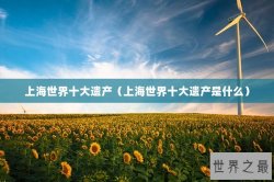 上海世界十大遗产（上海世界十大遗产是什么）