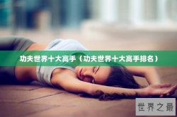 功夫世界十大高手（功夫世界十大高手排名）