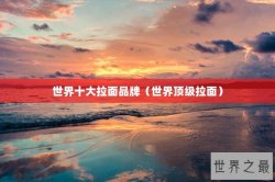 世界十大拉面品牌（世界顶级拉面）