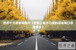 世界十大迫击炮图片（世界上最大口径的迫击炮口径是多少）