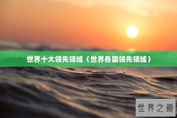 世界十大领先领域（世界各国领先领域）