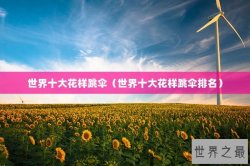 世界十大花样跳伞（世界十大花样跳伞排名）