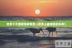 世界十大奇葩驾驶规定（世界上最奇葩的车祸）